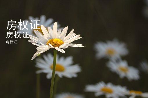 房权证