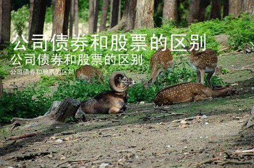 公司债券和股票的区别