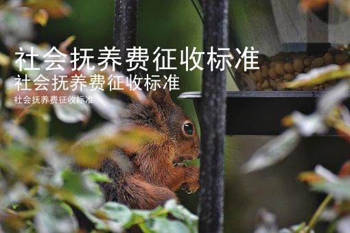 社会抚养费征收标准