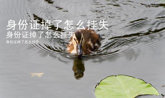 身份证掉了怎么挂失