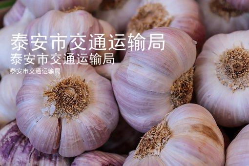 泰安市交通运输局