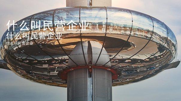 什么叫民营企业