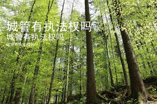 城管有执法权吗