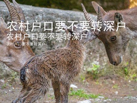 农村户口要不要转深户