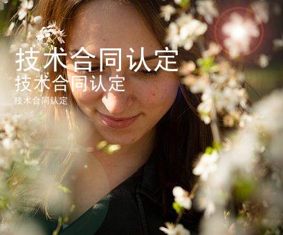 技术合同认定