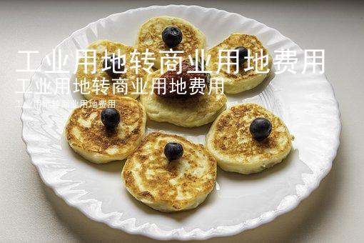 工业用地转商业用地费用