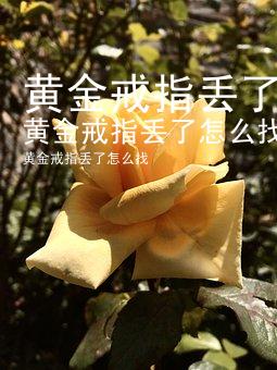 黄金戒指丢了怎么找