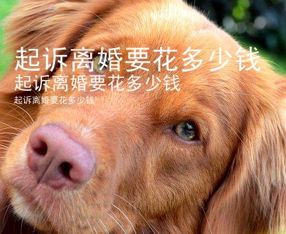 起诉离婚要花多少钱