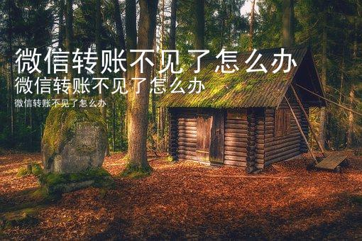 微信转账不见了怎么办