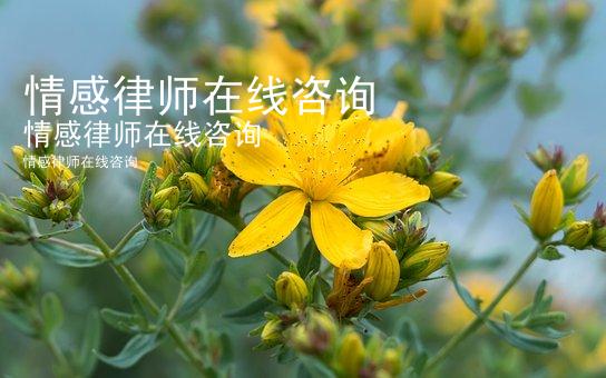 情感律师在线咨询