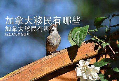 加拿大移民有哪些