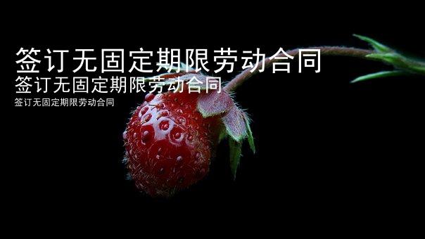 签订无固定期限劳动合同