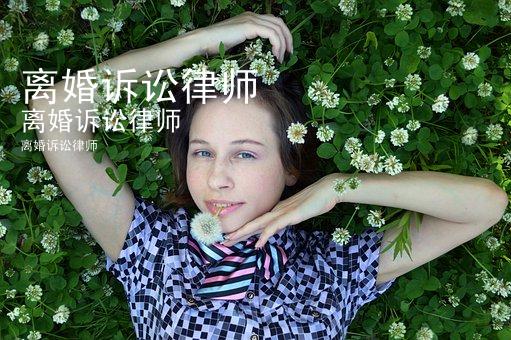 离婚诉讼律师