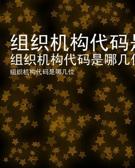 组织机构代码是哪几位