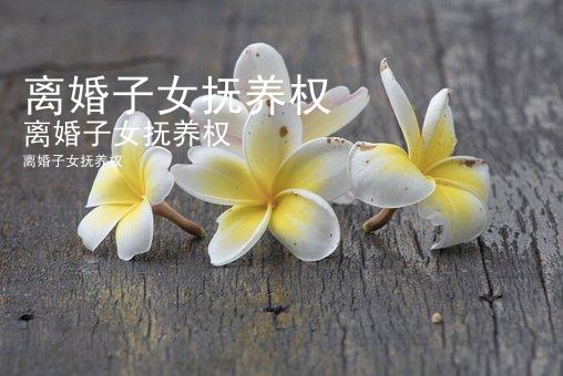 离婚子女抚养权