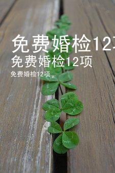 免费婚检12项