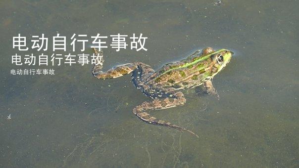 电动自行车事故