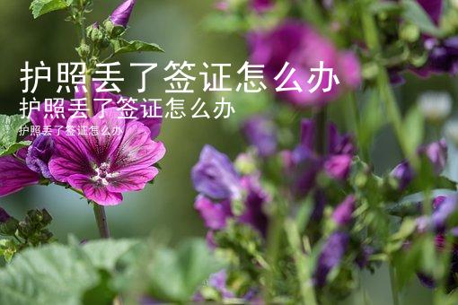 护照丢了签证怎么办