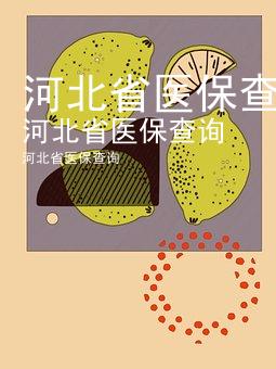 河北省医保查询