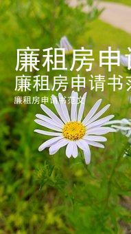 廉租房申请书范文