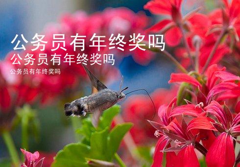 公务员有年终奖吗