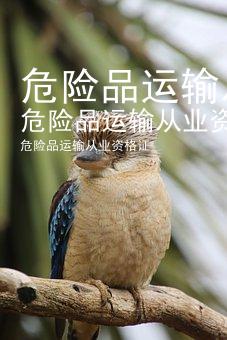 危险品运输从业资格证