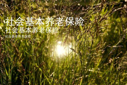 社会基本养老保险