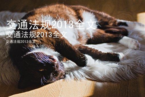 交通法规2013全文
