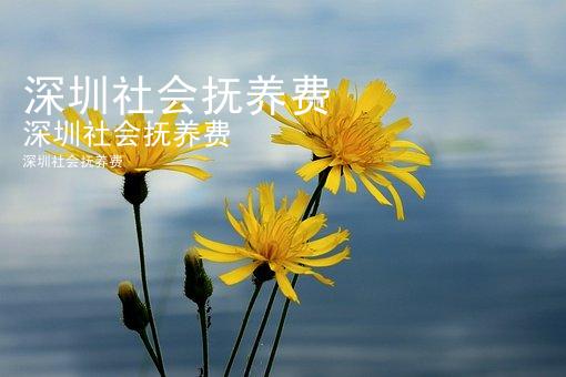 深圳社会抚养费