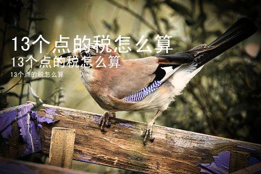 13个点的税怎么算