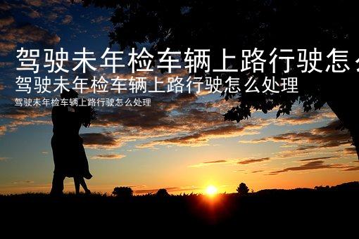 驾驶未年检车辆上路行驶怎么处理