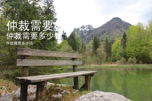 仲裁需要多少钱