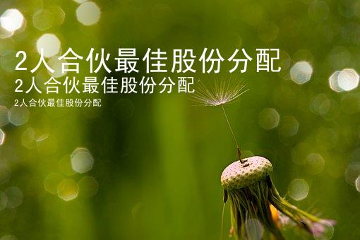 2人合伙最佳股份分配