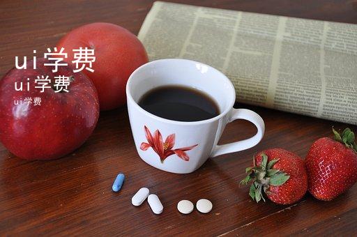 ui学费