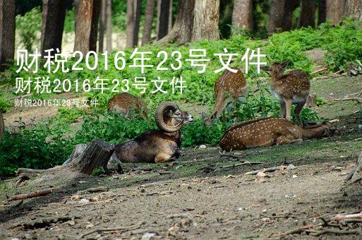 财税2016年23号文件