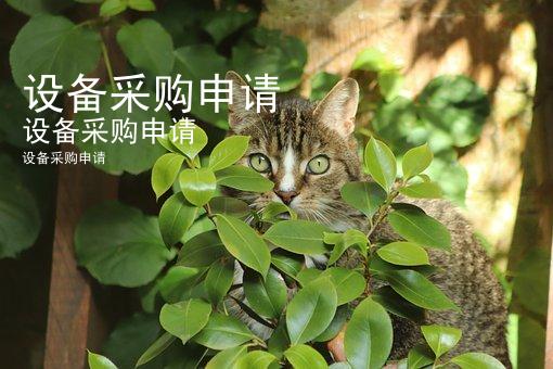 设备采购申请
