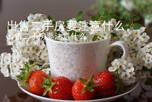 出售二手房要注意什么