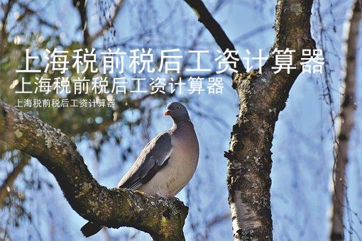 上海税前税后工资计算器