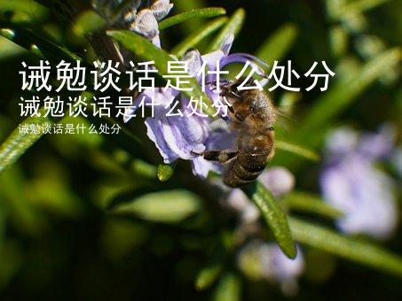 诫勉谈话是什么处分
