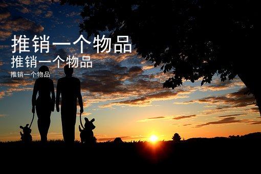 推销一个物品