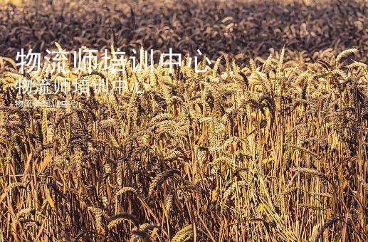 物流师培训中心