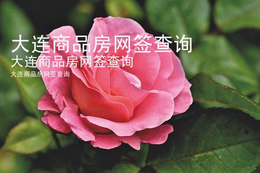 大连商品房网签查询