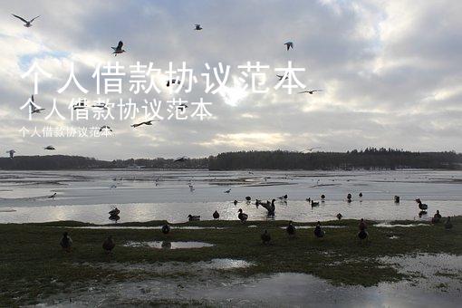 个人借款协议范本