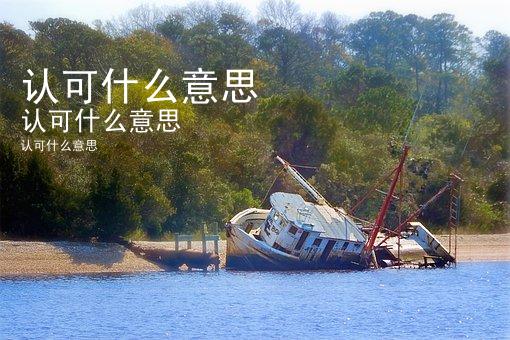 认可什么意思