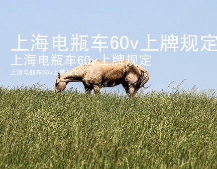 上海电瓶车60v上牌规定