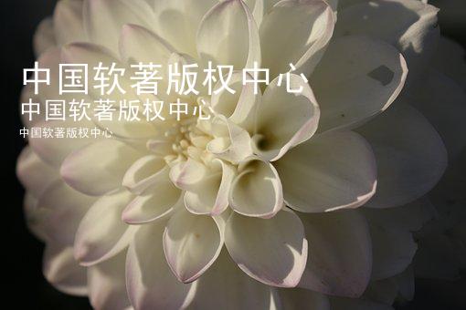 中国软著版权中心