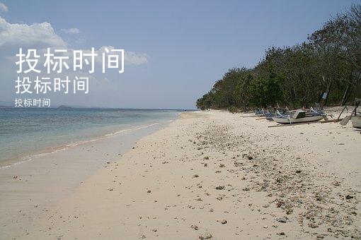 投标时间