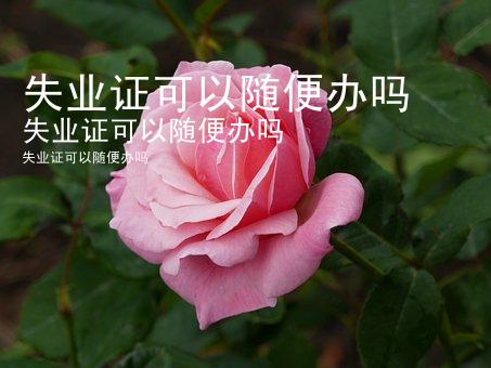 失业证可以随便办吗