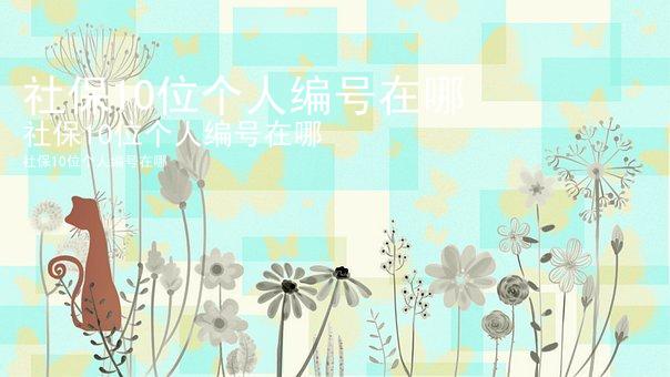 社保10位个人编号在哪