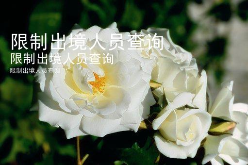 限制出境人员查询